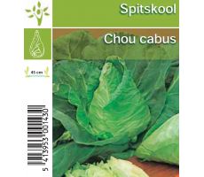 Spitskool