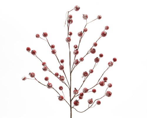 Spray foam, snow berries