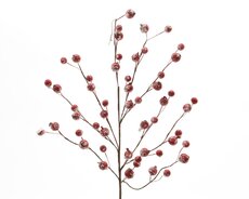 Spray foam, snow berries