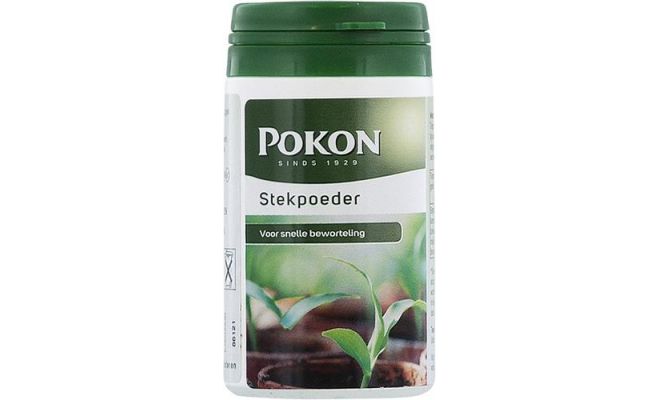 Stekpoeder rhizoph, Pokon, 25 gram - afbeelding 1