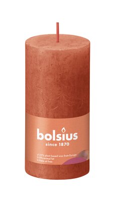 Bolsius Stompkaars rustiek Shine Ø50 x 100 mm Earthy orange