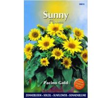 Sunny flowers pacino gold 0.75g - afbeelding 2