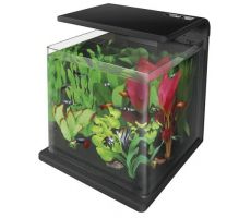 SUPERFISH Aquarium wave 30 zwart