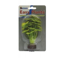 SUPERFISH Easy plants small 13cm nr.5 zijde