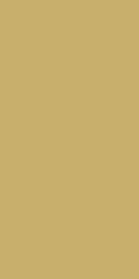 Tafelkleed l138b220cm goud