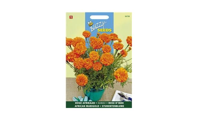 Tagetes er. hawaii fl.pl. 1g - afbeelding 1