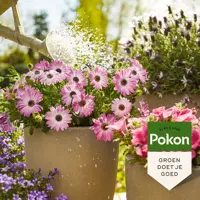 Terras en balkon planten voeding, Pokon, 1000 ml - afbeelding 2