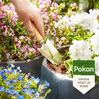 Terras en balkon potgrond, rhp, Pokon, 40 liter - afbeelding 2