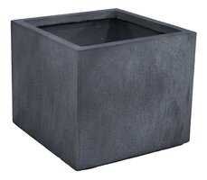Texas Cubi Graphite W55H46