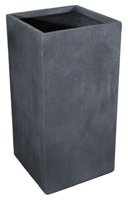 Texas Cubihi Graphite W23H50