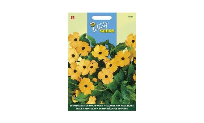 Thunbergia alata suzanne 0.5g - afbeelding 1