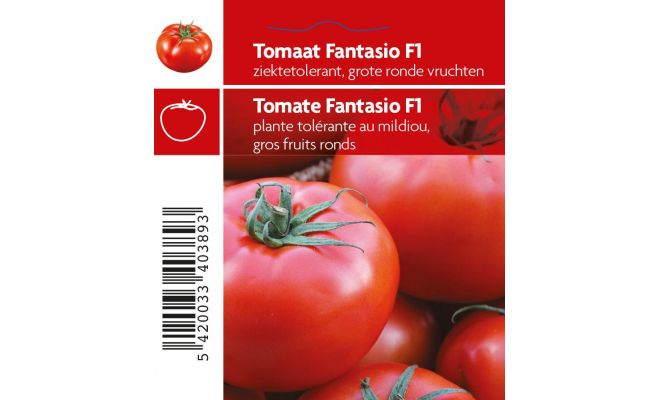 Tomaat Fantasio - afbeelding 1