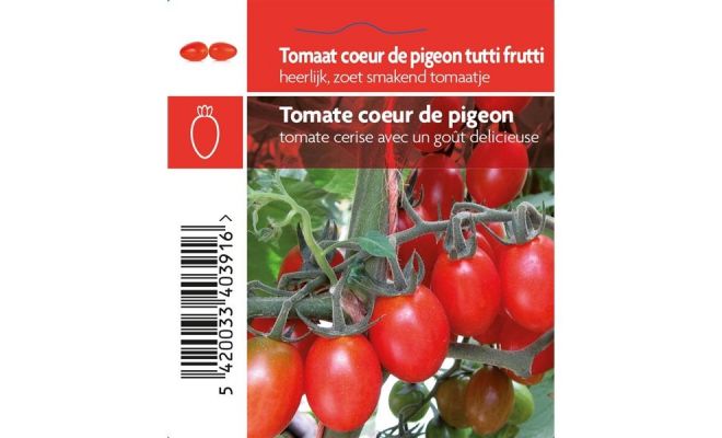 Tomaat Tutti Frutti