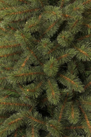 Toronto kerstboom groen, 1235 tips - H230xD140cm - afbeelding 6