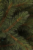 Toronto kerstboom groen 511 tips - H155 x Ø102 cm - afbeelding 2