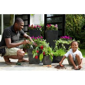 Tuinplanten