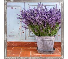 Tuinposter, lavendel, b 58 cm, h 58 cm