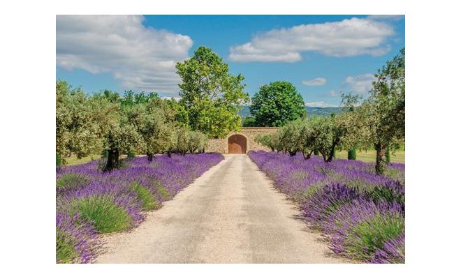 Tuinposter, lavendel met deur, b 130 cm, h 70 cm