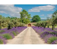 Tuinposter, lavendel met deur, b 130 cm, h 70 cm