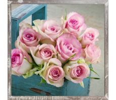 Tuinposter, roos, b 38 cm, h 38 cm, meerdere variaties - afbeelding 2