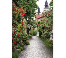 Tuinposter, rozensteeg, b 130 cm, h 70 cm
