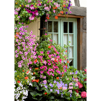 Tuinschilderij normandie 100x70cm