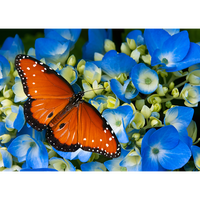 Tuinschilderij vlinder 70x50cm
