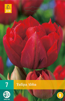 Tulipa abba 7st - afbeelding 3