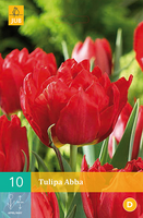 Tulipa abba 7st - afbeelding 2