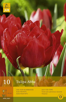 Tulipa abba 7st - afbeelding 4