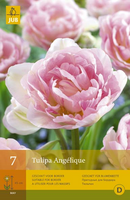 Tulipa angelique 7st - afbeelding 4