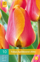 Tulipa apeldoorns elite 10st - afbeelding 3