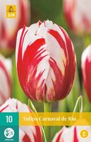 Tulipa carnaval de rio 10st - afbeelding 4