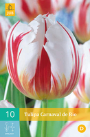 Tulipa carnaval de rio 10st - afbeelding 3