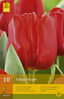 Tulipa escape 10st - afbeelding 4