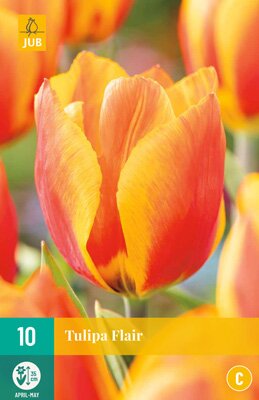Tulipa flair 10 stuks