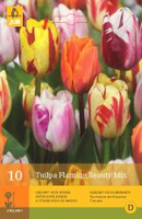 Tulipa flaming beauty mix 10st - afbeelding 4