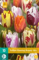 Tulipa flaming beauty mix 10 stuks
