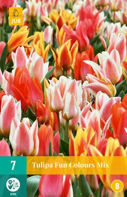 Tulipa fun colours 7 stuks