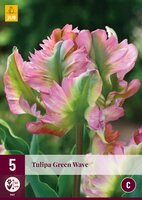 Tulipa green wave 5st - afbeelding 2