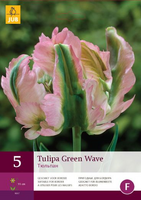 Tulipa green wave 5st - afbeelding 3