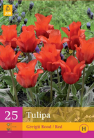 Tulipa greigii rood 25st - afbeelding 2