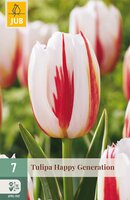 Tulipa Happy Generation, 7 stuks