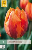Tulipa Hermitage, 7 stuks