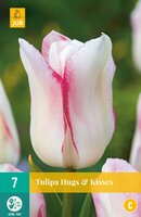 Tulipa hugs & kisses 7 stuks