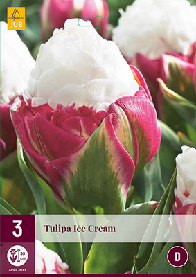 Tulipa ice cream 3st - afbeelding 1