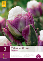 Tulipa ice cream 3st - afbeelding 2