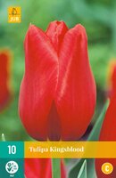 Tulipa kingsblood 10 stuks