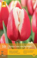 Tulipa leen van der mark 10st - afbeelding 4