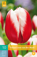 Tulipa leen van der mark 10st - afbeelding 3